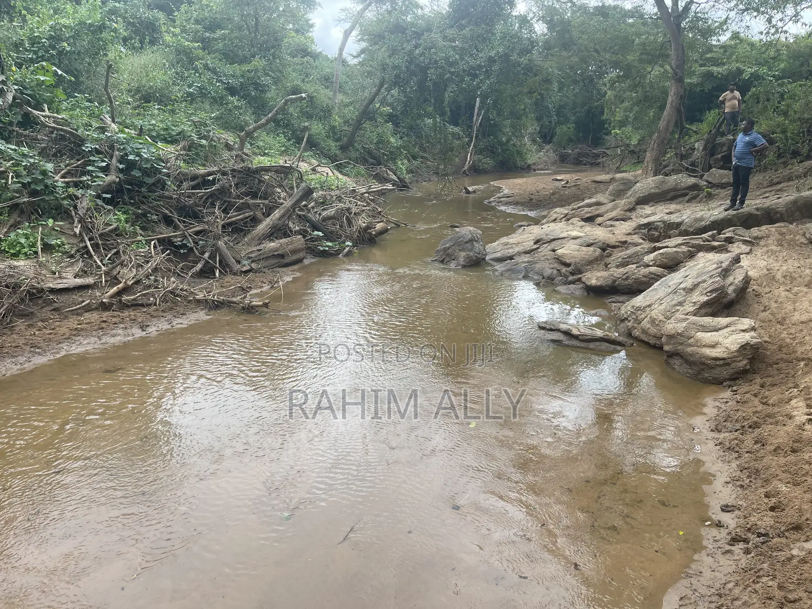Shamba Linauzwa La Umwagiliaji Miono
