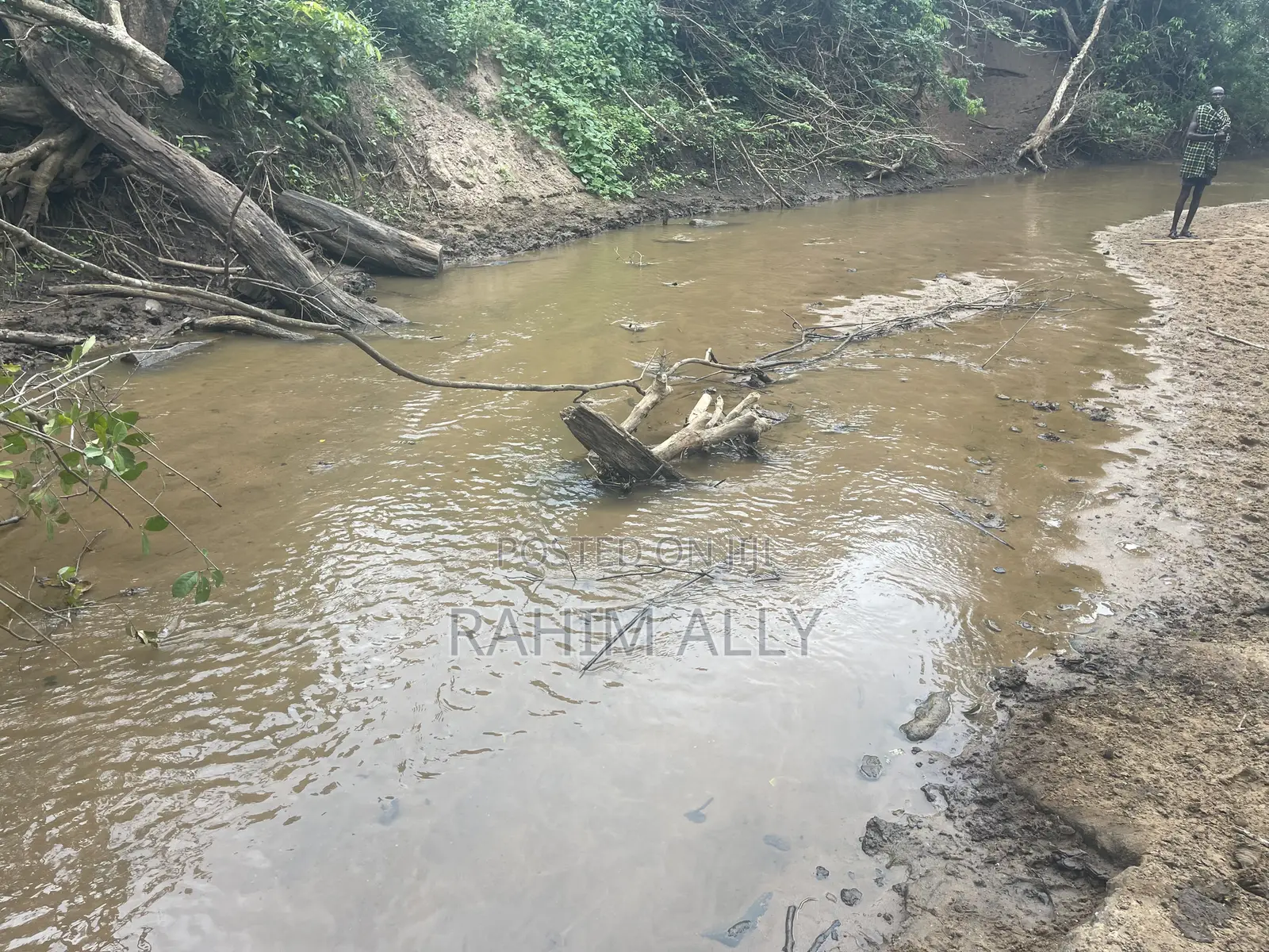 Shamba Linauzwa La Umwagiliaji Miono