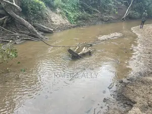 Shamba Linauzwa La Umwagiliaji Miono