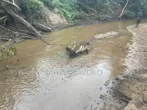 Shamba Linauzwa La Umwagiliaji Miono