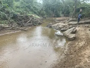 Shamba Linauzwa La Umwagiliaji Miono