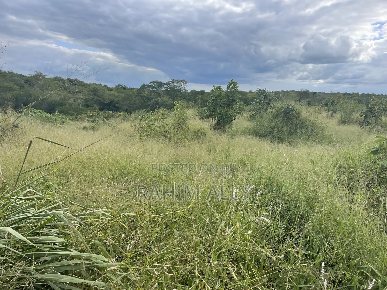 Shamba Linauzwa La Umwagiliaji Miono
