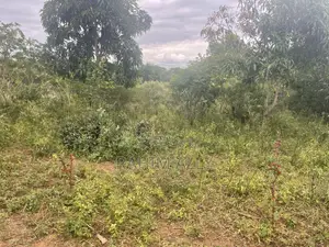 Shamba Linauzwa La Umwagiliaji Miono