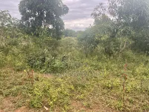 Shamba Linauzwa La Umwagiliaji Miono