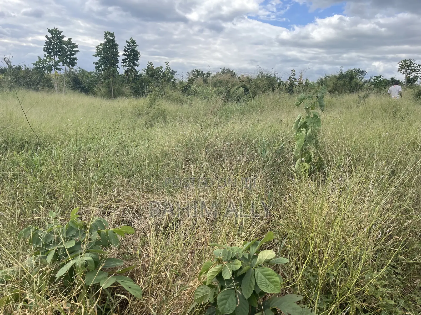 Shamba Linauzwa La Umwagiliaji Miono