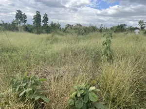 Shamba Linauzwa La Umwagiliaji Miono