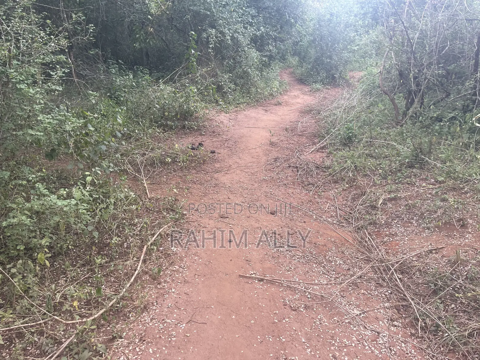 Shamba Linauzwa La Umwagiliaji Miono