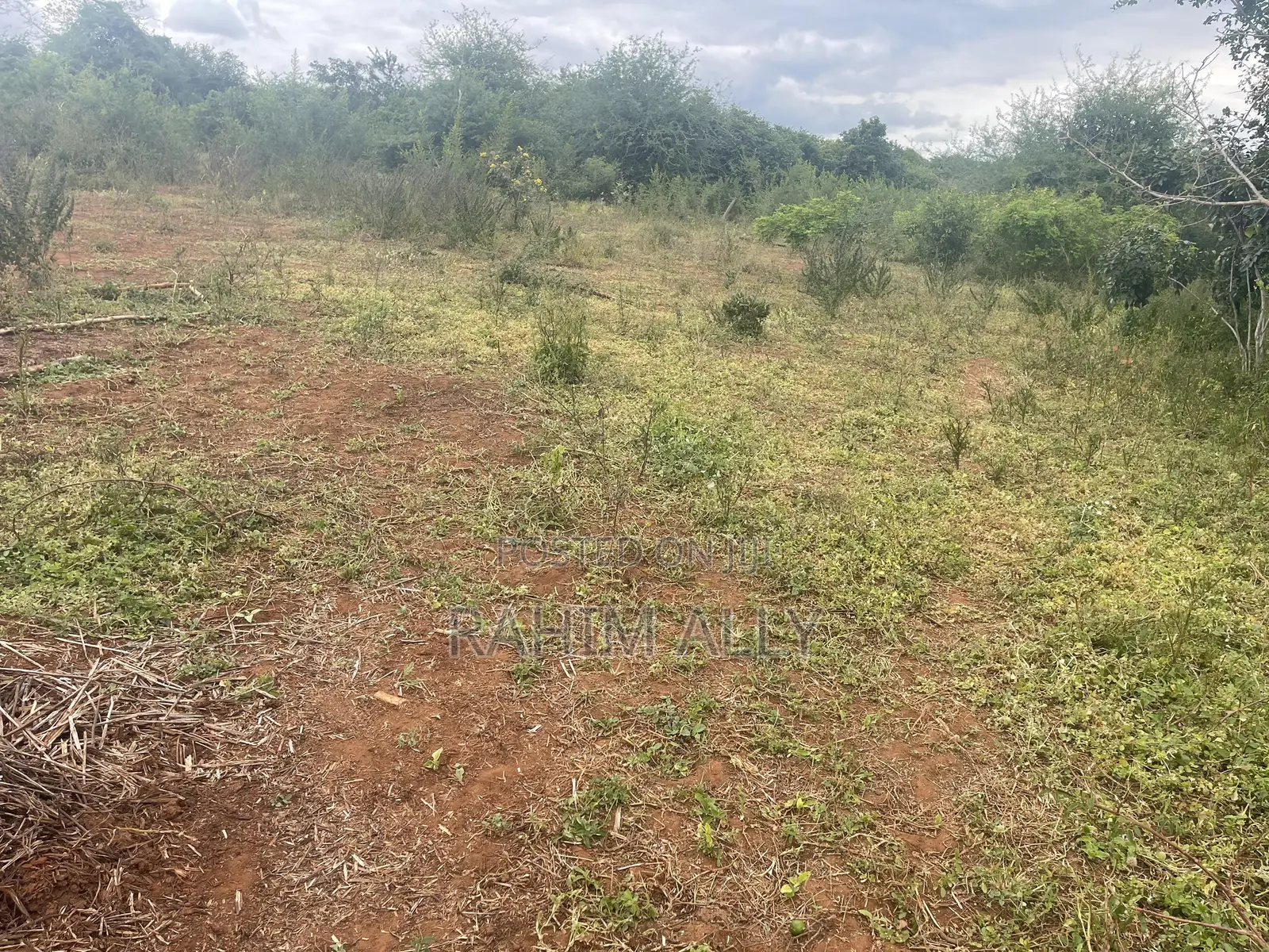 Shamba Linauzwa La Umwagiliaji Miono