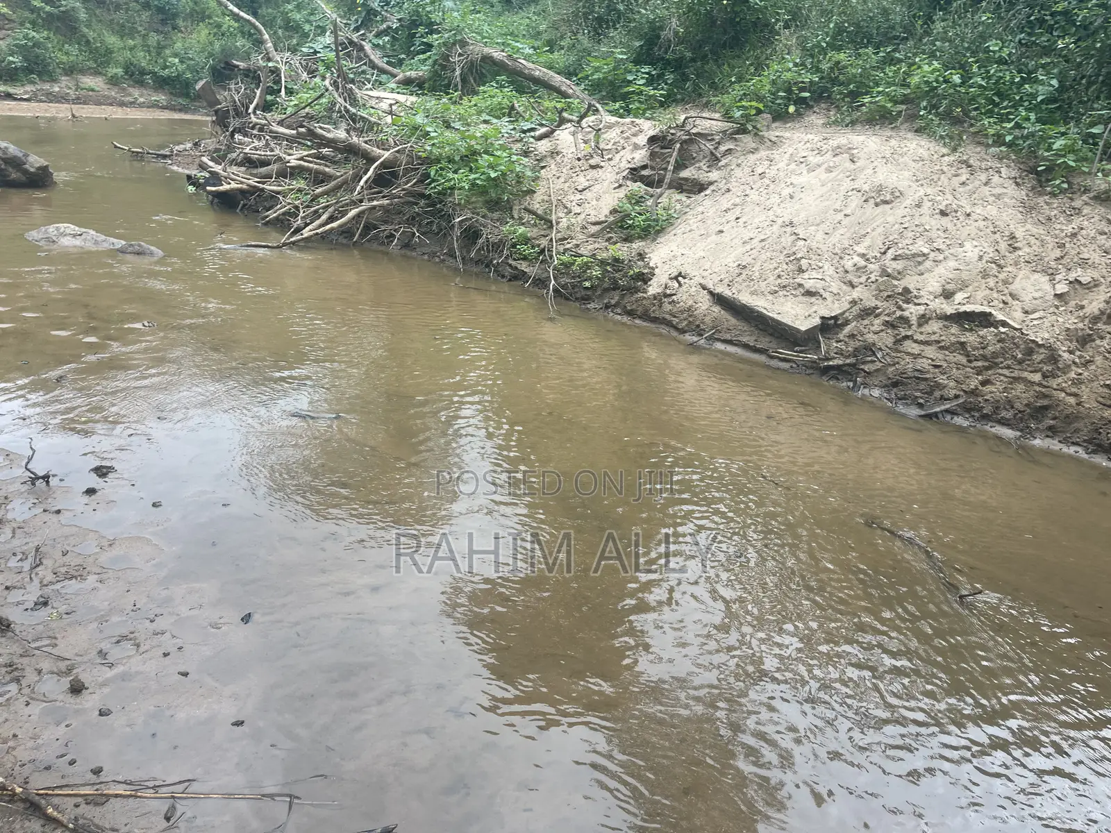 Shamba Linauzwa La Umwagiliaji Miono