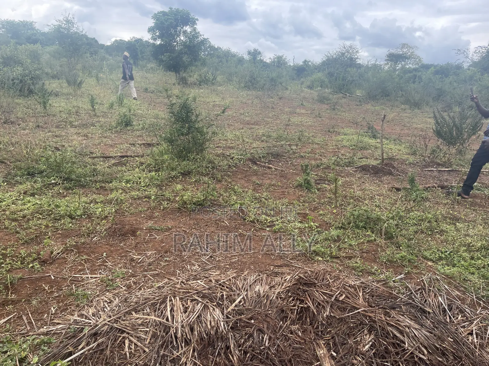 Shamba Linauzwa La Umwagiliaji Miono
