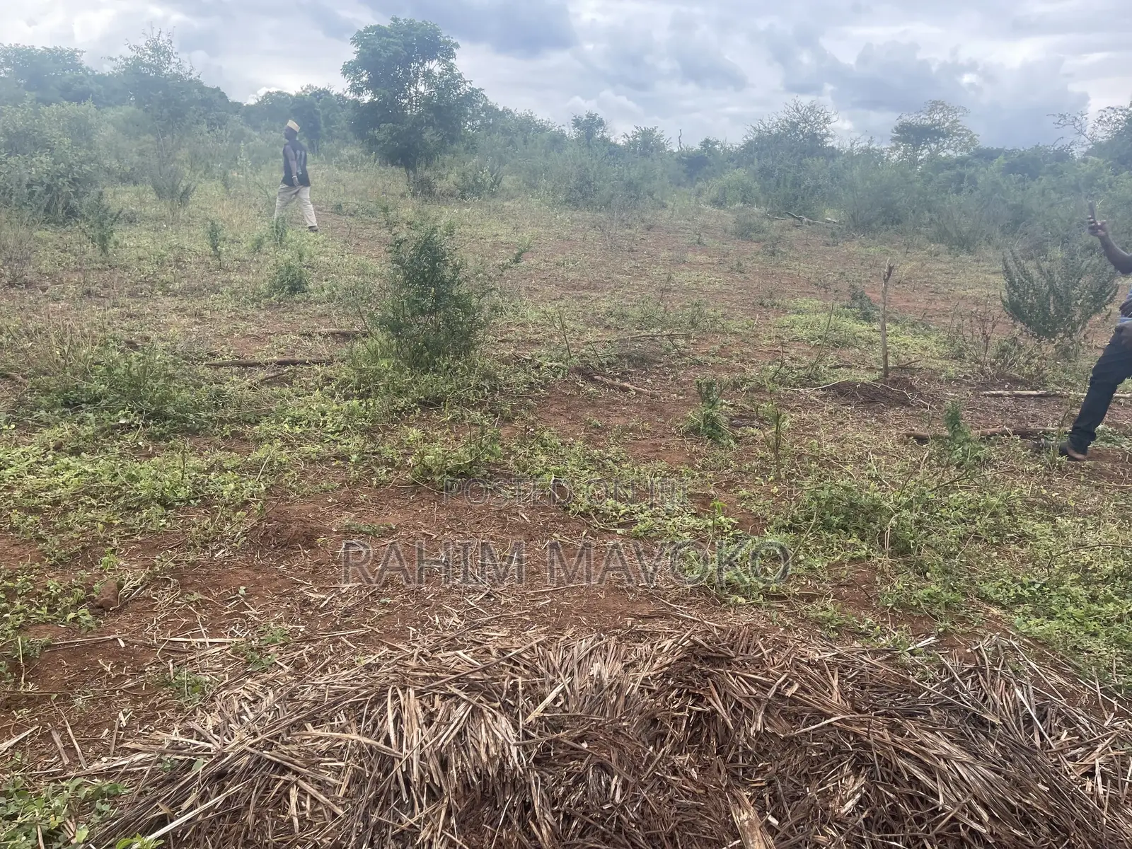 Shamba Linauzwa La Umwagiliaji Miono