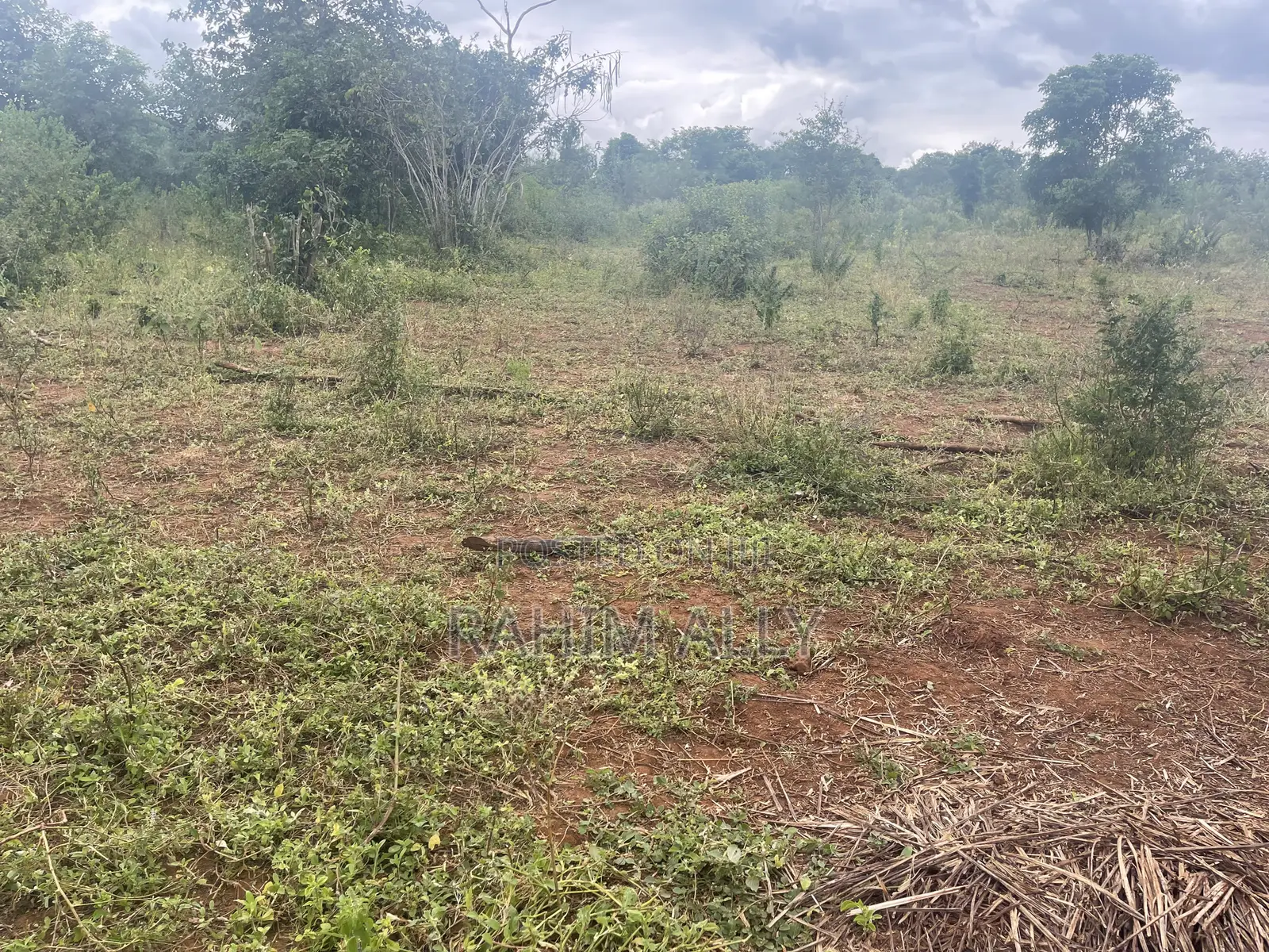 Shamba Linauzwa La Umwagiliaji Miono