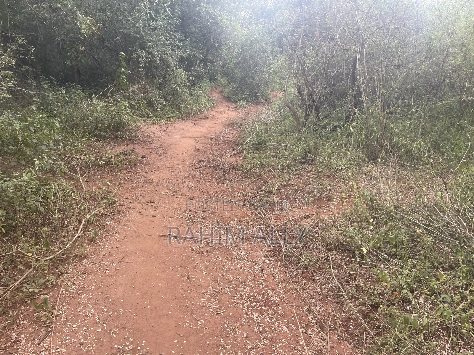 Shamba Linauzwa La Umwagiliaji Miono