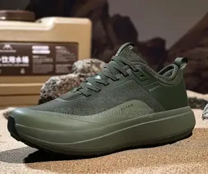 Svtan the North Face Shoes
