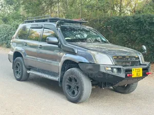 Toyota Land Cruiser Prado 2004 Gray