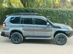 Toyota Land Cruiser Prado 2004 Gray