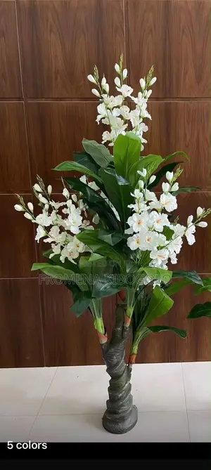 Maua Mazuri