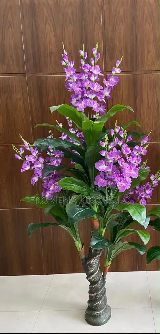 Maua Mazuri
