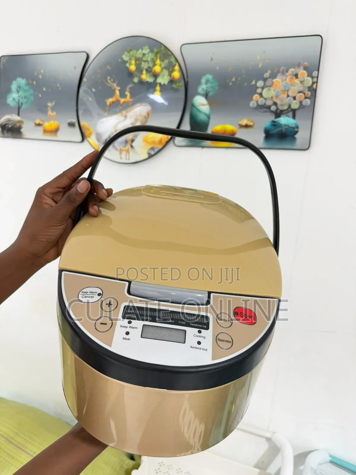 5ltrs Multicooker