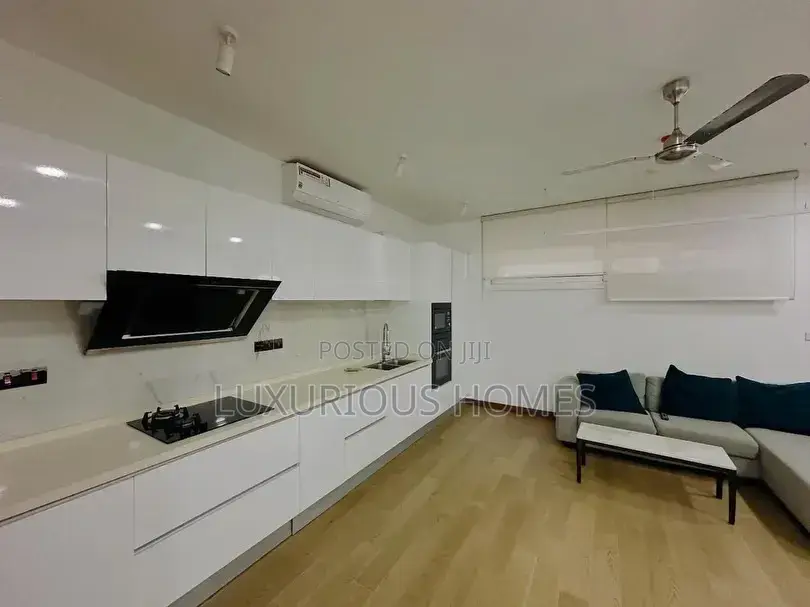 Furnished 1bdrm Apartment in Masaki for rent