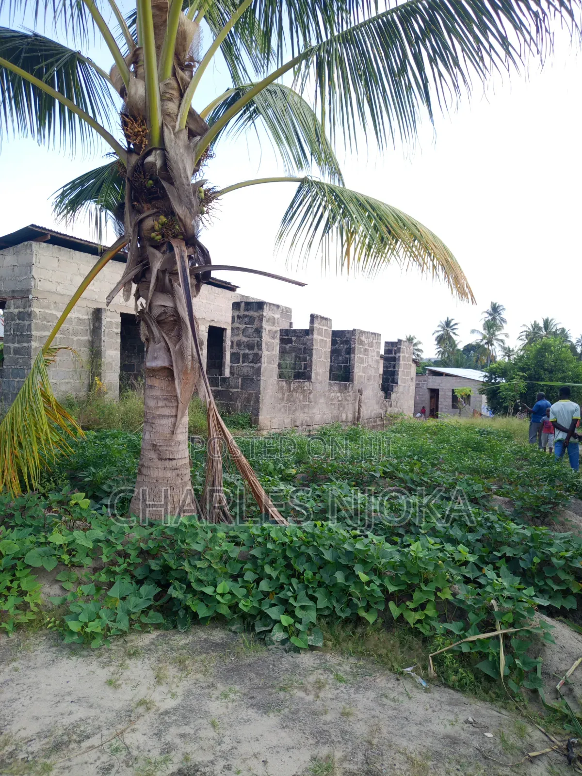 6bdrm House in Viwege, Ilala for sale
