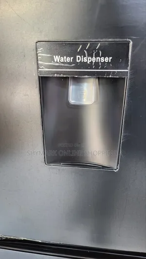 Hisense Refrigerator H300bbl-Wd 230L With Water Dispenser
