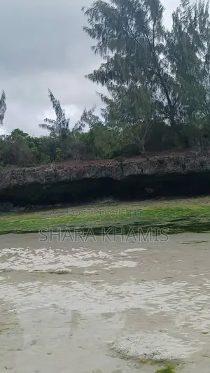 Kizimkazi Beachfront on the Cliff Land for Sale