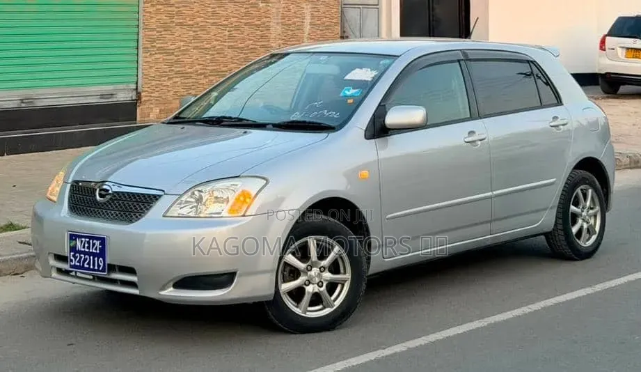 Toyota Corolla RunX 2004 Silver