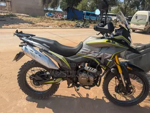 New Honda Livo 2026 Gold