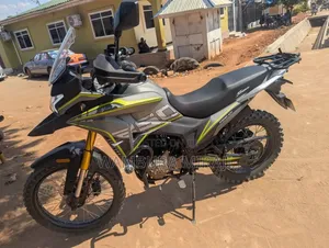 New Honda Livo 2026 Gold