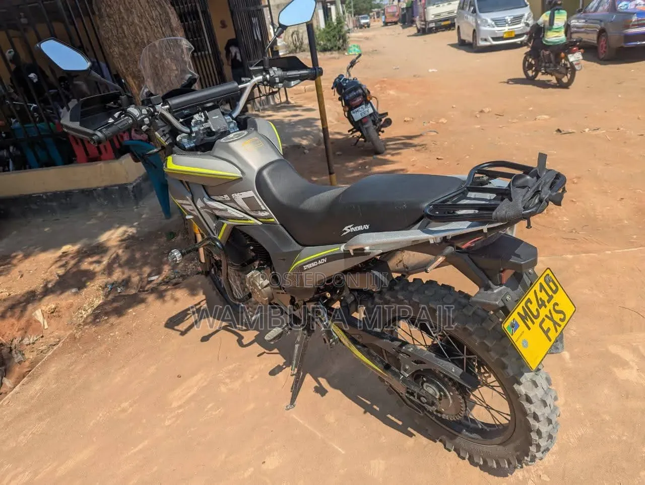 New Honda Livo 2026 Gold