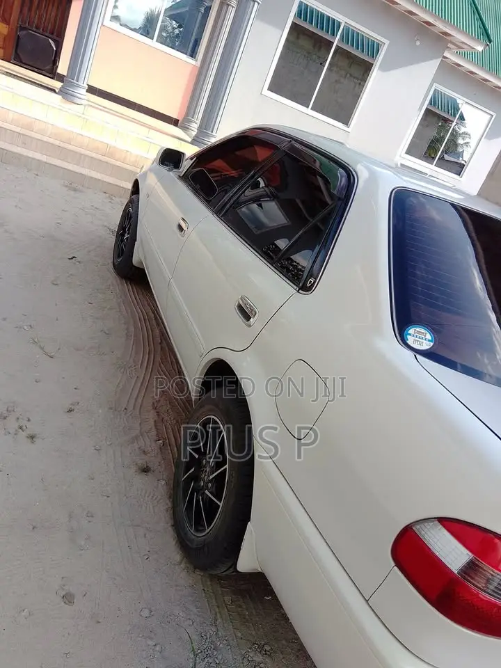 Toyota Corolla 2000 White