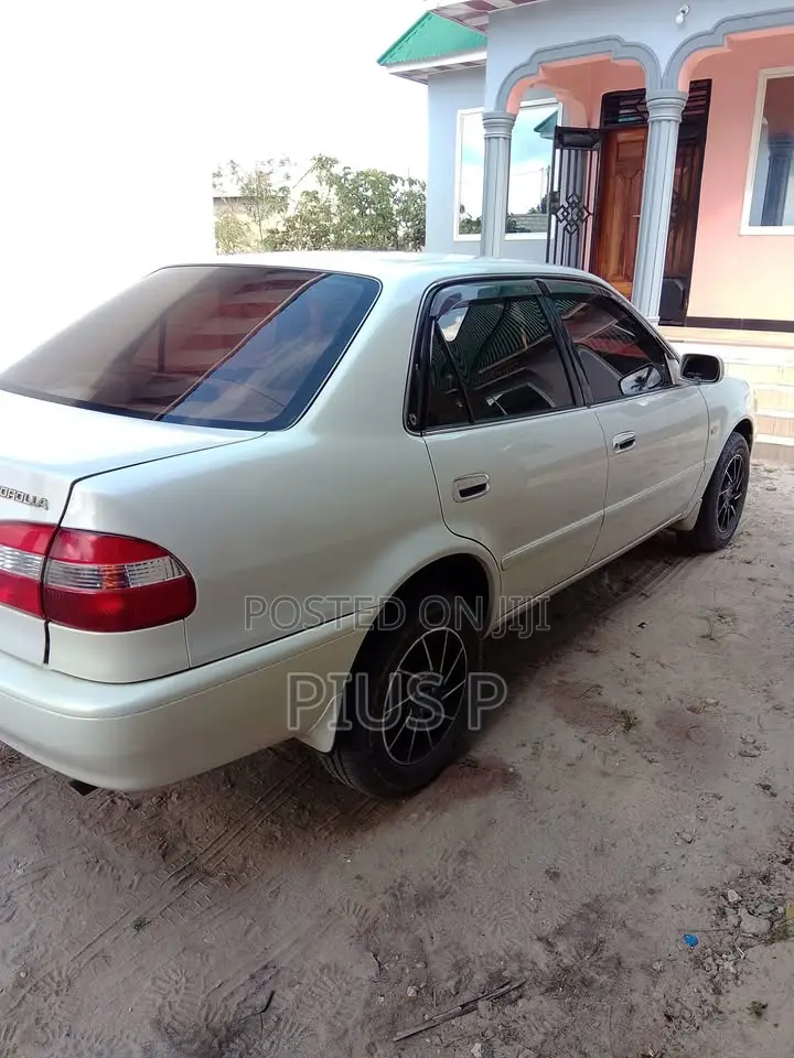 Toyota Corolla 2000 White