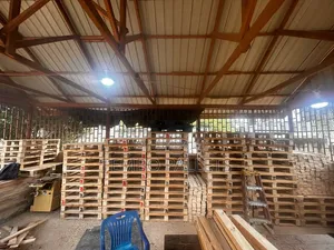 Pallets New Euro 2 Pallet Tembo 1 Pallet