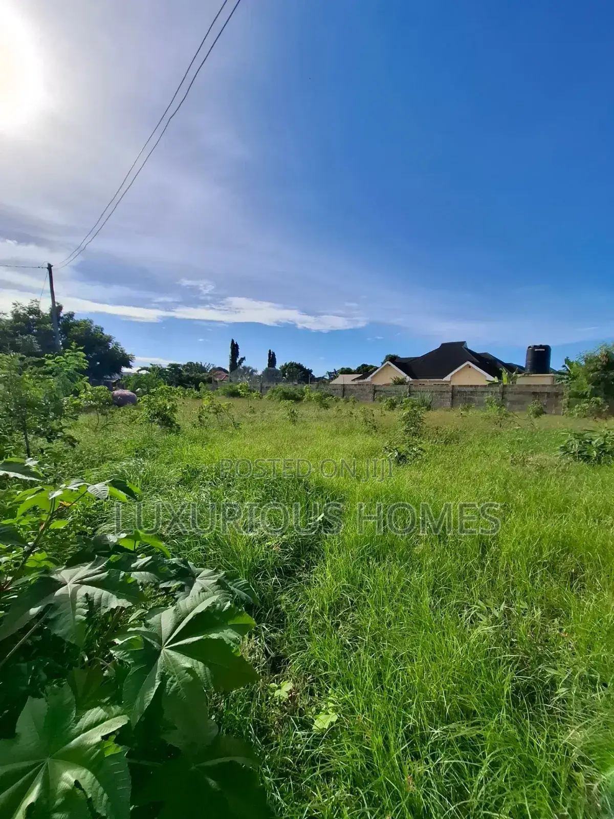 Plot for Sale