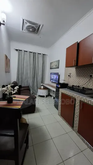 Furnished Mini Flat in Makumbusho Bus Stop, Kijitonyama for rent