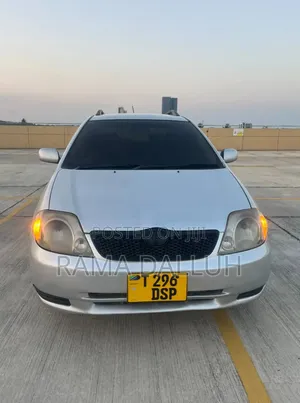 Toyota Corolla RunX 2004 Silver