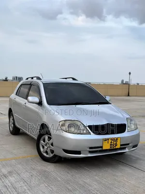 Toyota Corolla RunX 2004 Silver