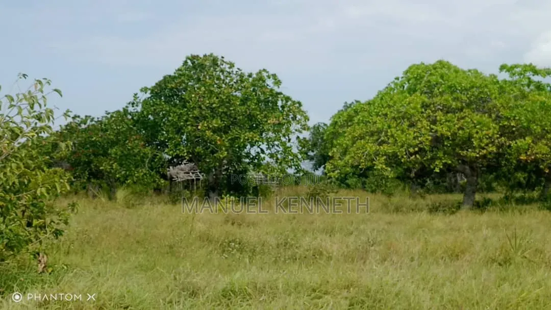 Shamba La Heka 20 Linauzwa Mkwaja, Mikocheni Shilikishoni, Tanga.