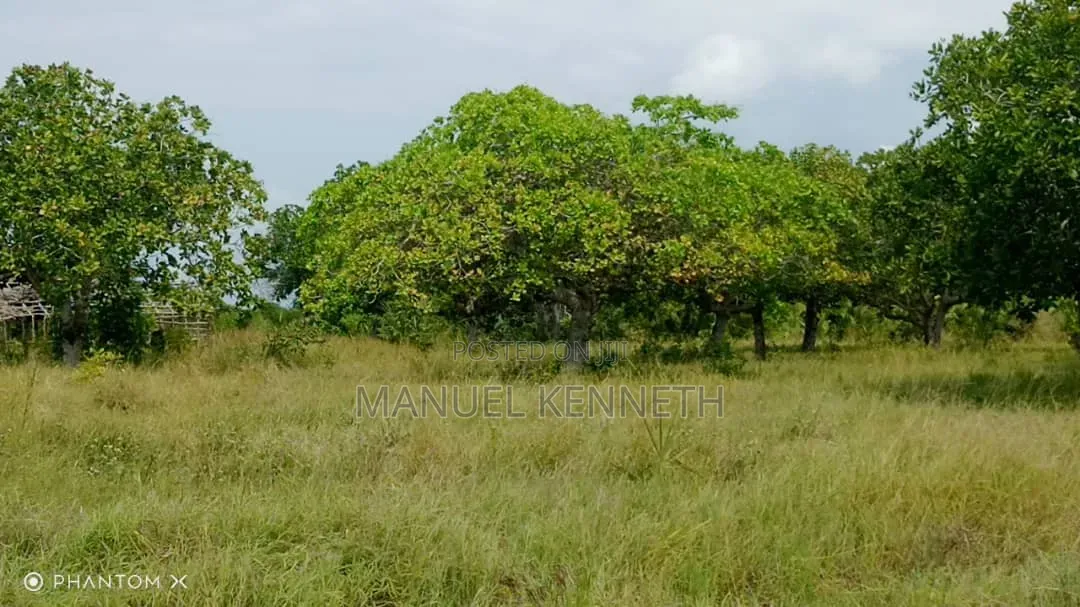 Shamba La Heka 20 Linauzwa Mkwaja, Mikocheni Shilikishoni, Tanga.