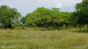 Shamba La Heka 20 Linauzwa Mkwaja, Mikocheni Shilikishoni, Tanga.