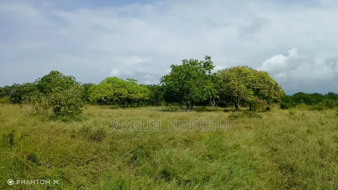 Shamba La Heka 20 Linauzwa Mkwaja, Mikocheni Shilikishoni, Tanga.