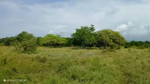 Shamba La Heka 20 Linauzwa Mkwaja, Mikocheni Shilikishoni, Tanga.