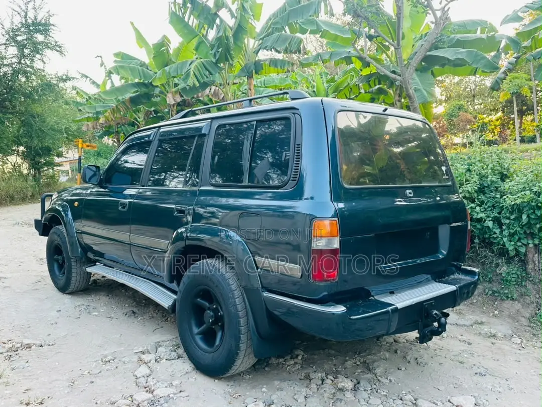Toyota Land Cruiser 1995 Gray