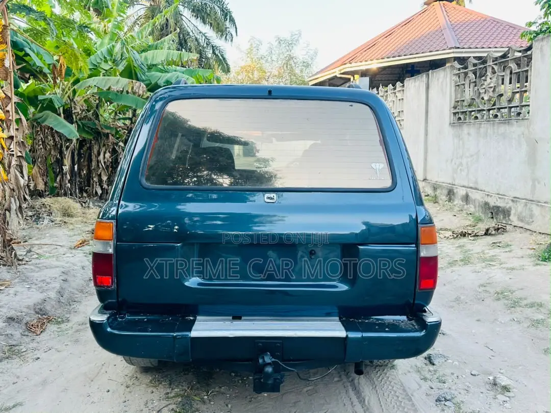 Toyota Land Cruiser 1995 Gray