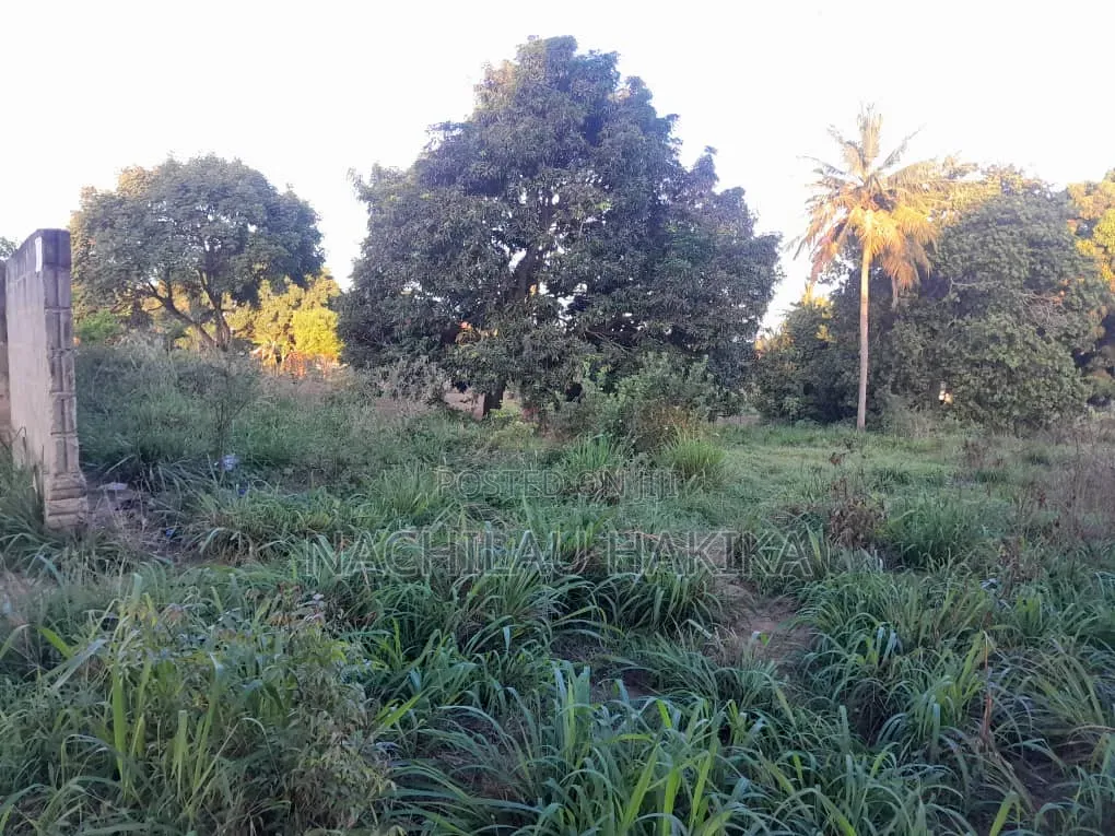 Petrol Station Plot for Sale