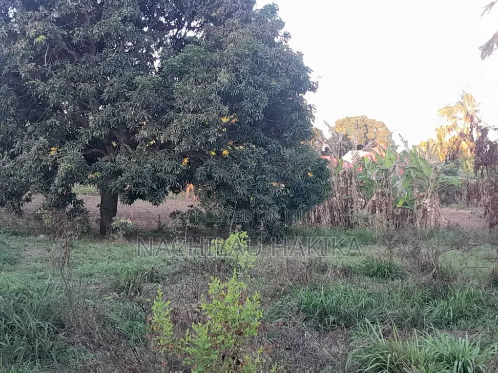 Petrol Station Plot for Sale
