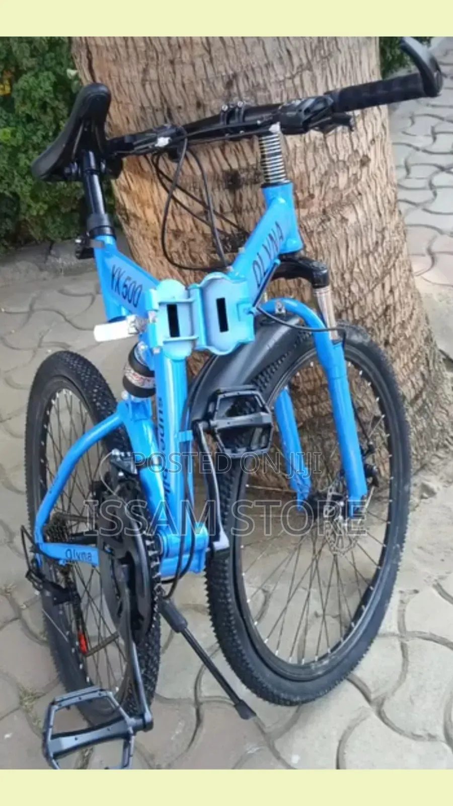 Folding Bike