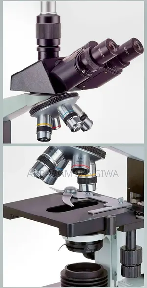 AmScope 40x-2000x Full-Size 17