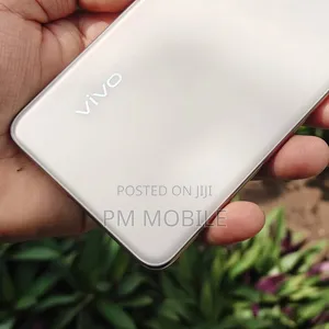 Vivo V60 512 GB